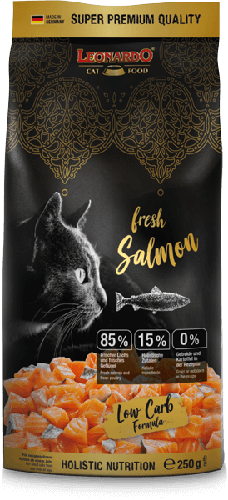 fresh Salmon