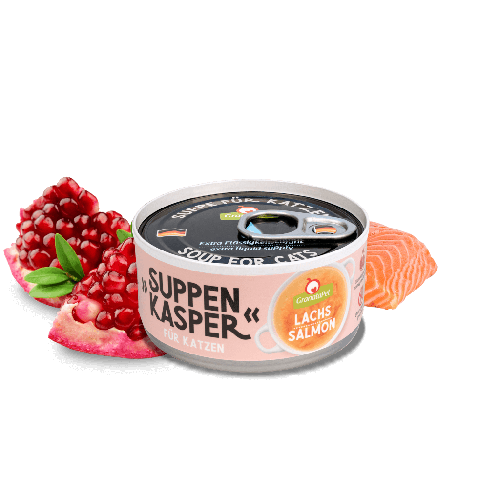 suppenkasper 三文鱼